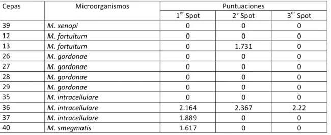 Tabla 2: Puntuaciones obtenidas con MALDI-TOF mediante el procesamiento con la variante 1   Puntuaciones 