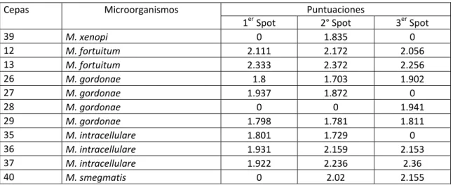 Tabla 3: Puntuaciones obtenidas con MALDI-TOF mediante el procesamiento con la variante 2   Puntuaciones 