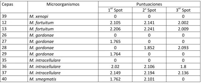 Tabla 4: Puntuaciones obtenidas con MALDI-TOF mediante el procesamiento con la variante 3   Puntuaciones 