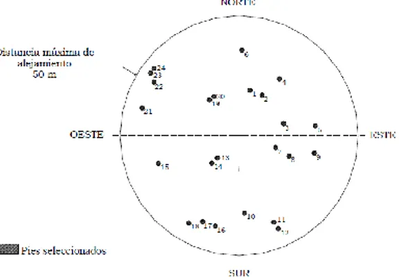 Figura 2 – Distribución deseable de los pies seleccionados. Fuente: Manual de la Red I  El  período  de  muestreo  de  la  RDB  comprende  los  meses  de  Julio,  Agosto  y  Septiembre