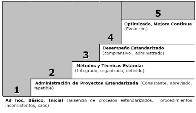 Figura 5. Descripción de Niveles de Madurez (CMMI) 