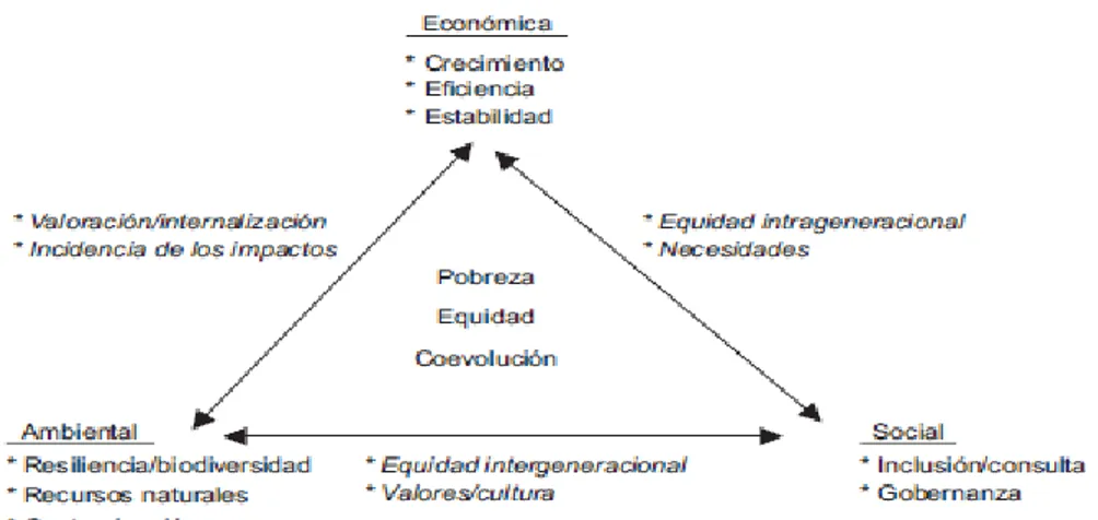 Figura 1: Las dimensiones de la sostenibilidad y sus interrelaciones. Fuente: Munashinge y McNeel, 1995