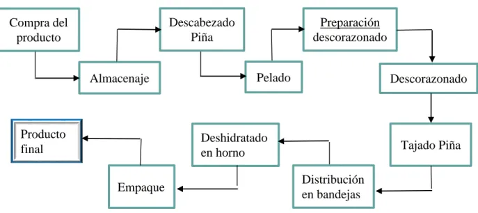 Figura 5. Procesos inherentes a la deshidratación de piña. Frutichips. 