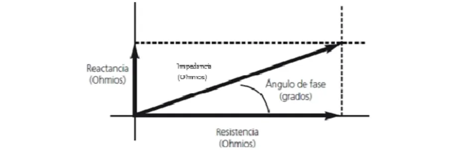 Figura 2. Vector de impedancia 24 . 