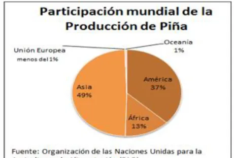 Ilustración 4. Participación Mundial de la Producción de Piña 
