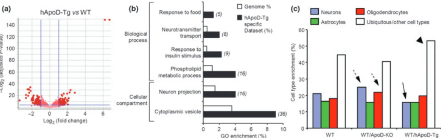 Fig. 2 Effects of hApoD over-expression in cerebellar gene expres- expres-sion (a and b) and modifications in cell-type enrichment distributions in the ApoD-dependent gene pools (c)