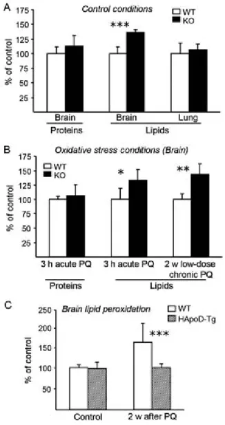Fig. 4 Loss of ApoD function specifically alters lipid peroxidation in the brain 