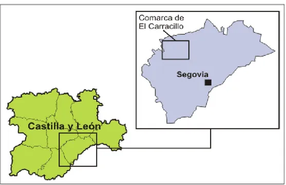 Figura 1: Ubicación de El Carracillo en Castilla León.Fuente: regantesdelcarracillo.es (2007) 