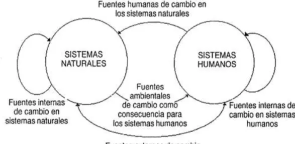Figura  1: Medio Ambiente 