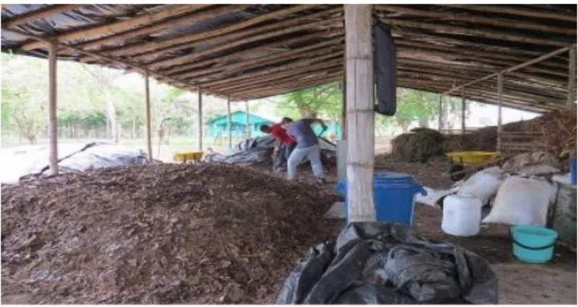 Figura 9 Aplicación de Insumos