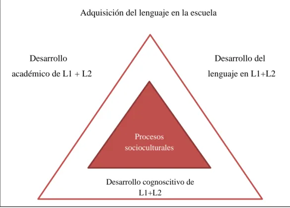 Figura 2: Modelo del prisma de la educación bilingüe de Thomas y Collier.   Fuente: Freeman et al