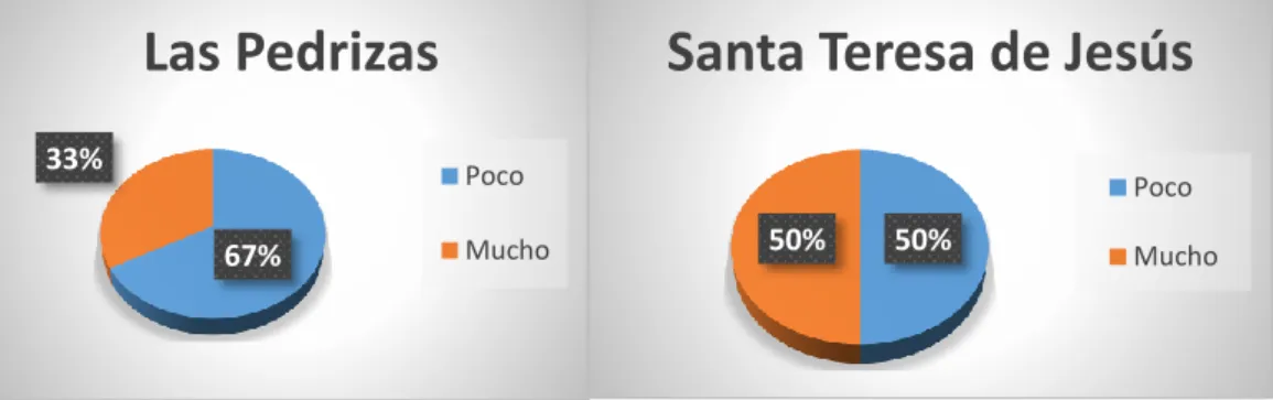 Gráfico 5 y 6: Preparación de los docentes en cuanto al manejo de las TIC. 