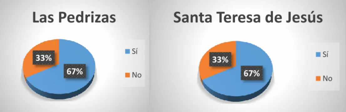 Gráfico 15 y 16: Grado de información que se da a los padres. 