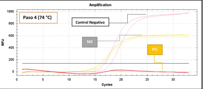Figura  7.  PCR  en  tiempo  real  multiplex  con  SYBR  Green  SensiFast-No  Rox-  kit  1x  (Ensayo 1)