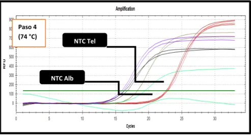 Figura 10. PCR en tiempo real singleplex con SYBR Green SensiFast-No Rox- kit 1x  (Ensayo 3)