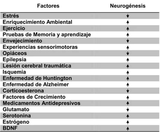 Cuadro 1. Factores que influencian la neurogénesis. 