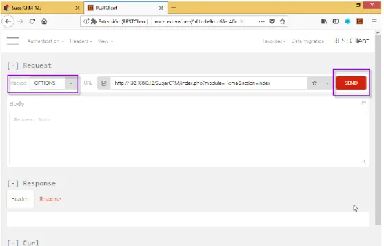 Figura 23. Complemento RESTClient 
