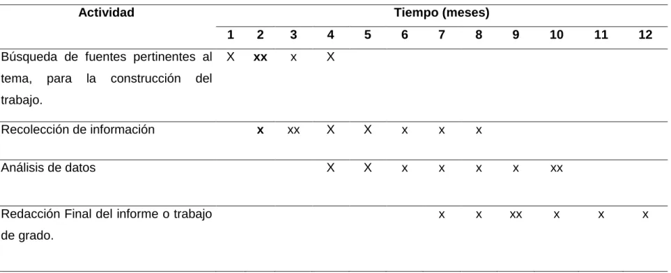 Tabla 2. Cronograma 
