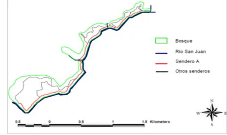 Figura 5. Sistema de senderos utilizado para el seguimiento de primates en  el fragmento de bosque en San Juan del Carare