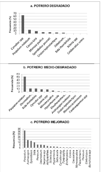 Figura 3. Frecuencia de las especies en los tres tipos de potrero