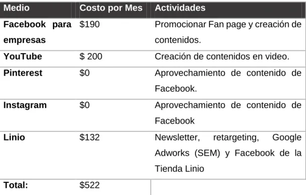 Tabla 2. Cuadro Presupuesto Medios
