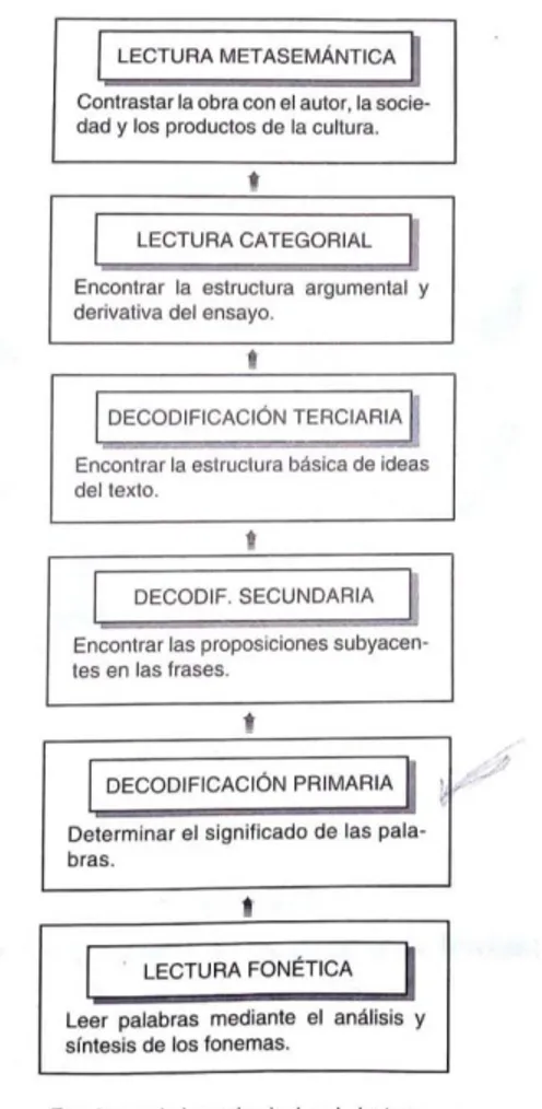 Figura 2. Funciones de los seis niveles de lectura