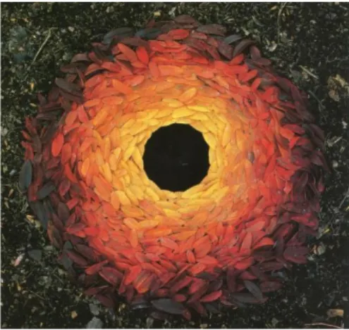 Figura 4. Rowan leaves and pebbles around a hole (1987).  Andy Goldsworthy. Captura de la  Web: https://www.boredpanda.com/land-art-andy-goldsworthy/ 