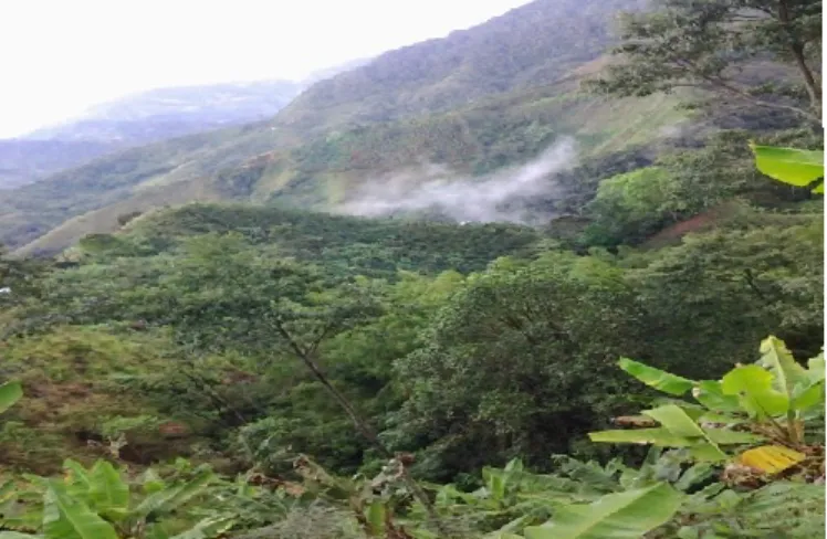 Figura 9.  Tomada  en la vereda el llano. Estudiantes observaron cómo se levantaba la 