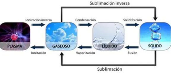 Figura 1. Cambios en el estado de la materia 