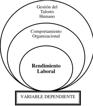 Gráfico 1: Categorización Variables 
