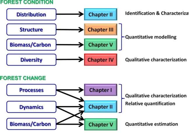 Figure 1. Schematic overview of topics covered in the thesis.