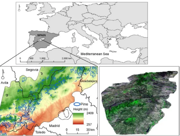 Figure 2. Location of the area of interest in the middle of the Iberian Peninsula. 