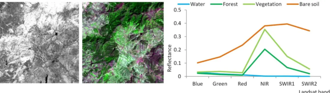 Figure 5. Left: Landsat NDVI image of part of the study area. Dark regions are water  bodies, roads and bare soil; bright regions are forest