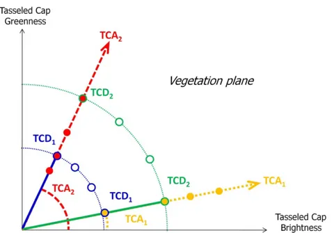 Figure 6. Vegetation plane of the Tasseled Cap Transformation. Tasseled Cap Angle  (TCA) and Tasseled Cap Distance (TCD) are represented