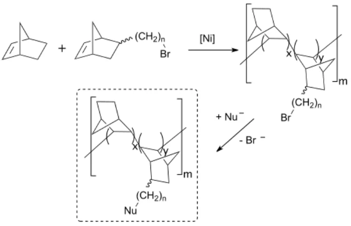 Figure  2.  Schematic  design  of  the  polynorbornene-supported 
