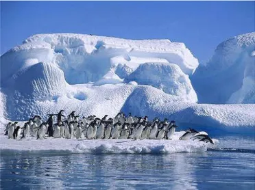 Figura  18. Antártida 1. Fuente: http://turismouniversal.com