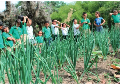 Figura 7. Agroecología en la escuela… un espacio para el 
