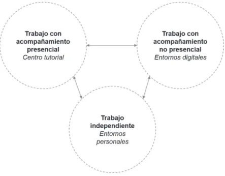 Figura 1. Momentos del proceso tutorial