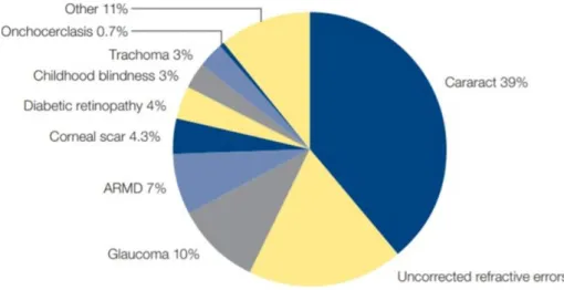 Tabla 1: Impacto en la función visual de las principales causas de discapacidad visual