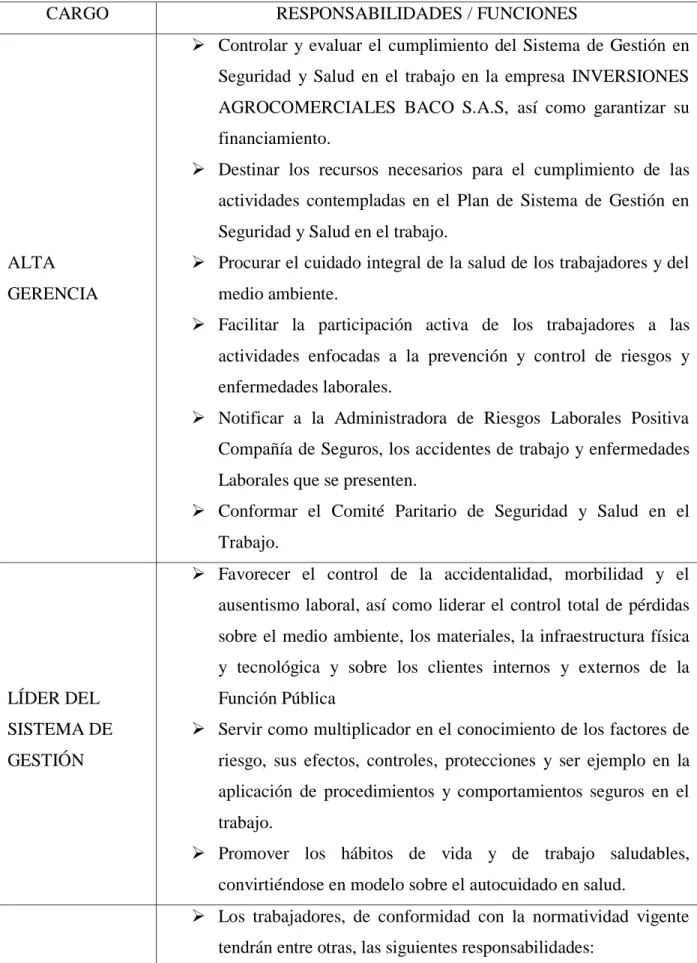 Tabla 1: Descripción Niveles de Responsabilidad y Funciones 