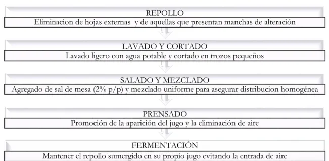 Figura 15 Diagrama de flujo para la fermentación de repollo 