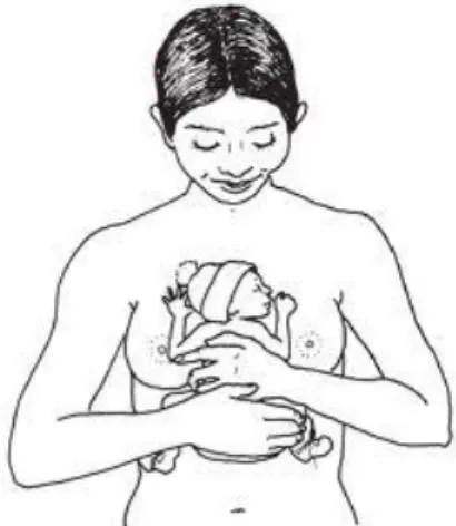 Figura 2: Posición del recién nacido en el pecho de la madre  