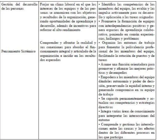 Ilustración 10. Nivel directivo. Decreto 815 De 2018. Fuente: (República de Colombia, 2018,  p