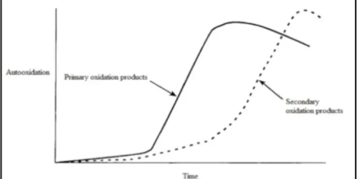Figure 2. Theoretical development of primary and secondary oxidation products as a  function of time in lipid oxidation 
