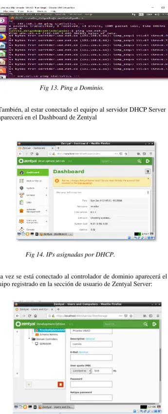 Fig 13. Ping a Dominio. 