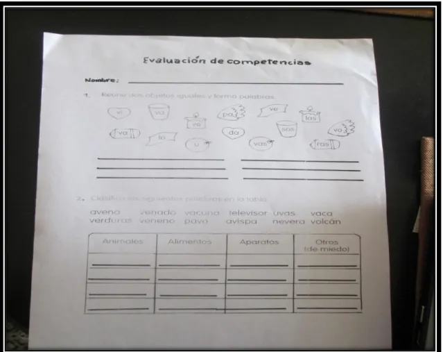Figura 2. Evaluación de Competencias   