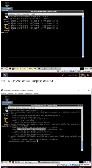 Fig 14. Prueba de las Tarjetas de Red 