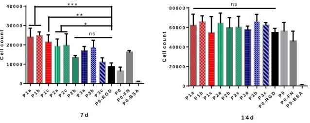 Figure 7.  Long-term time-dependent proliferation assay (7 d, 14 d). Number of cells determined for ELRs 