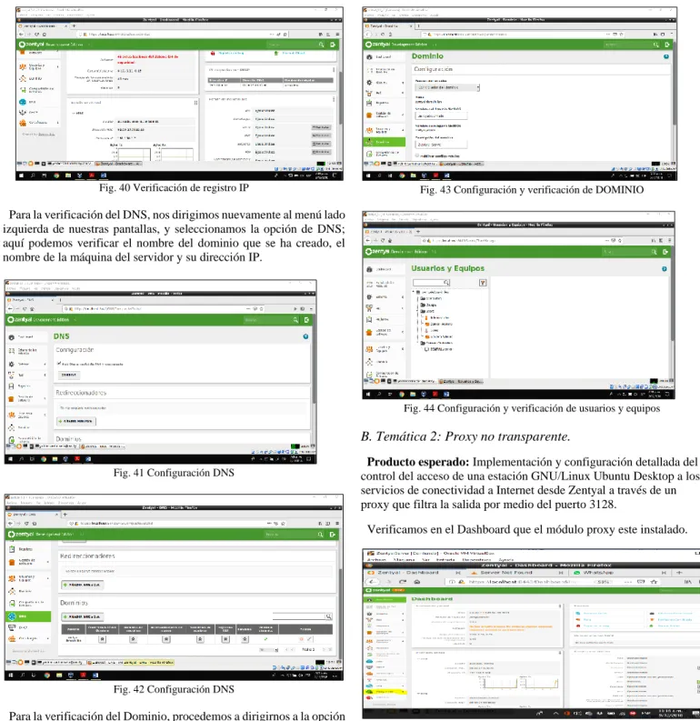 Fig. 40 Verificación de registro IP 