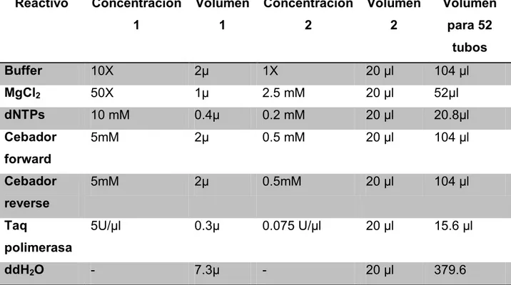Tabla 3. Condiciones de PCR.  Reactivo  Concentración  1  Volumen 1  Concentración 2  Volumen 2  Volumen para 52  tubos  Buffer   10X   2µ  1X  20 µl  104 µl  MgCl 2 50X  1µ  2.5 mM  20 µl  52µl  dNTPs  10 mM  0.4µ  0.2 mM  20 µl  20.8µl  Cebador  forward 